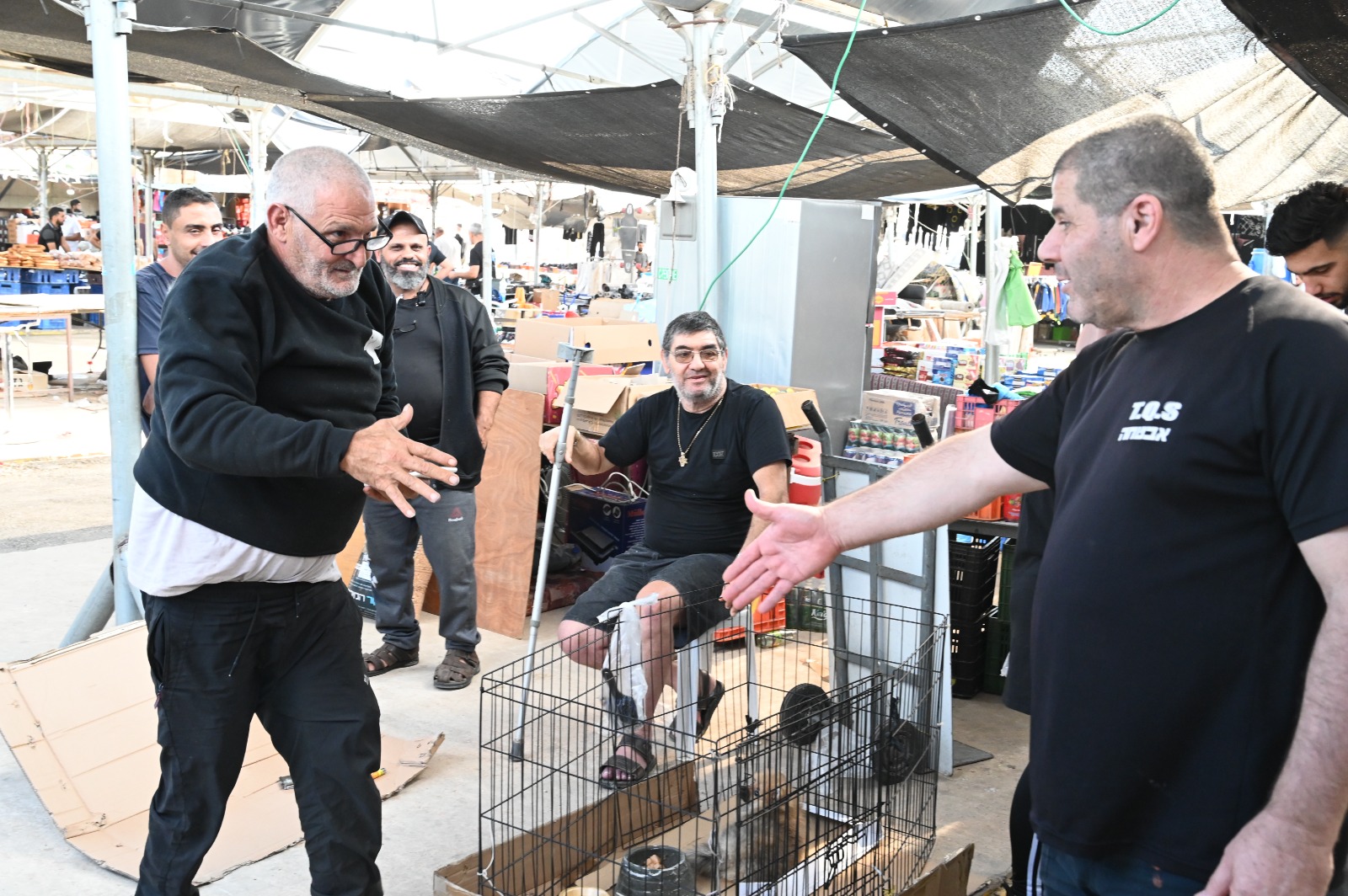 WhatsApp Image 2023-11-24 at 14.43.54.jpeg